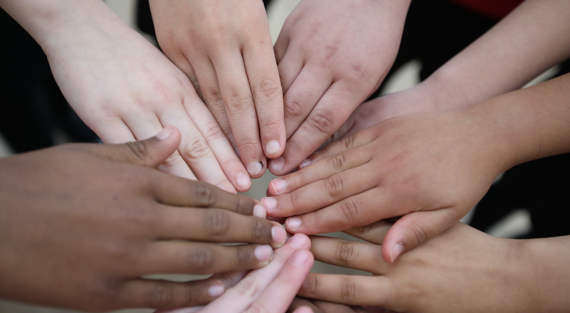 Parent Feedback Parent Feedback