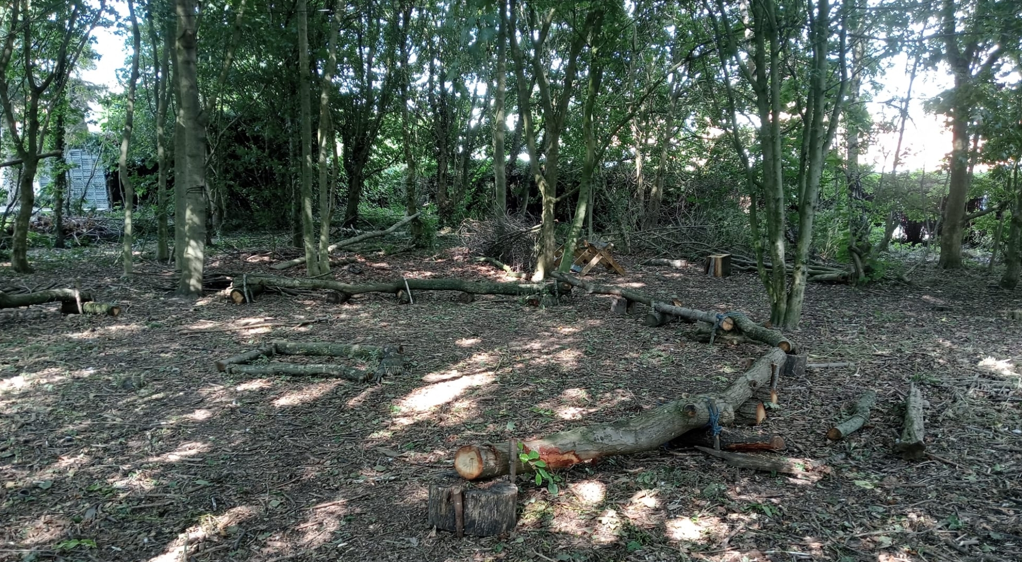 Our Forest School is open!